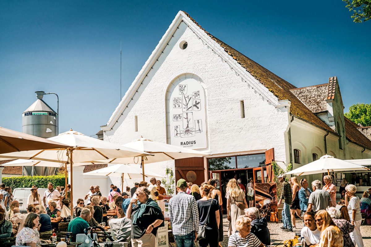 Gårdrummet foran Radius Distillery fyldt med gæster og parasoller på en solskinsdag